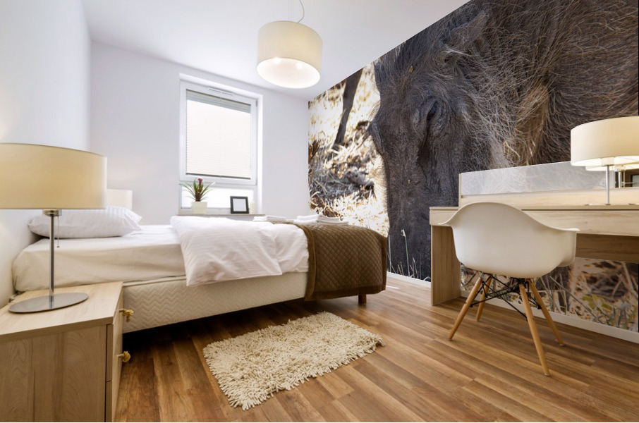 pumba Mural print