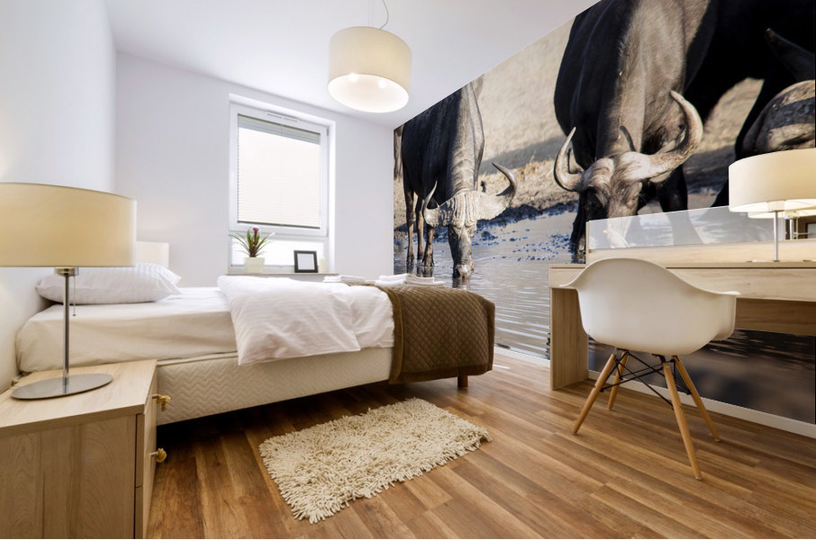 cape buffalo Mural print