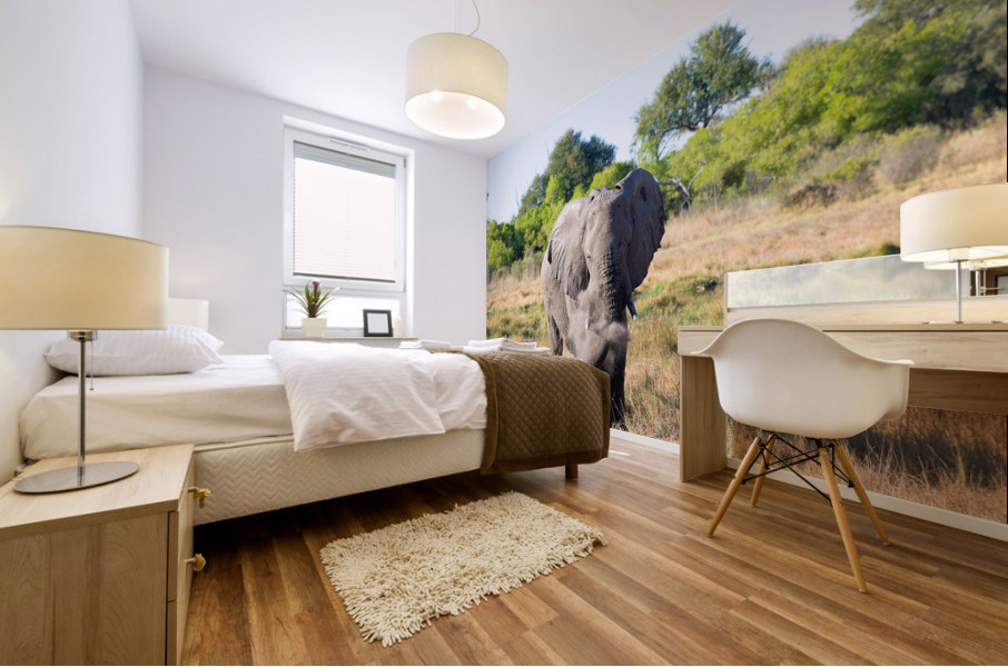 elephant dirt Mural print