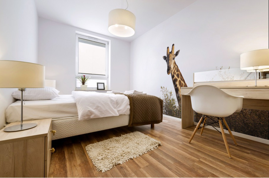giraffe Mural print