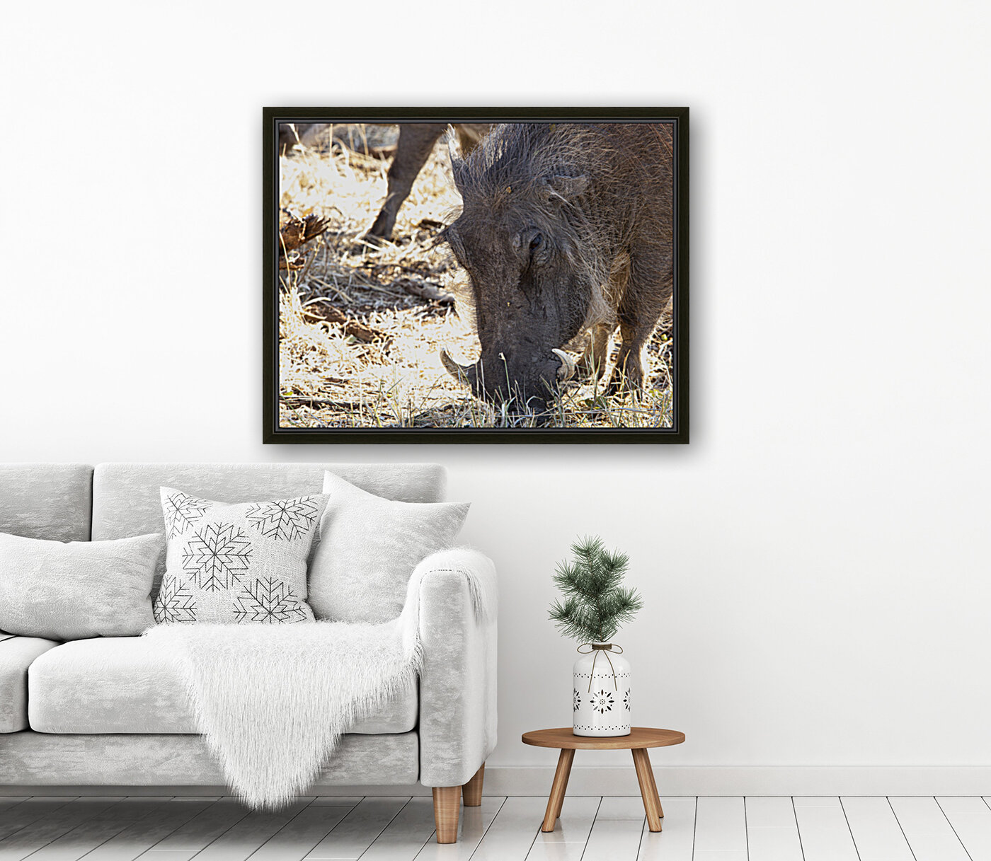 pumba Reproduction