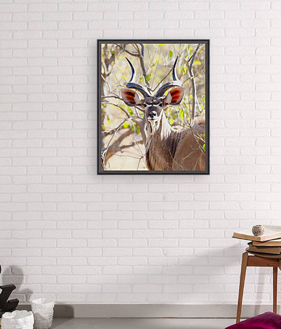 KUDU by Evan D