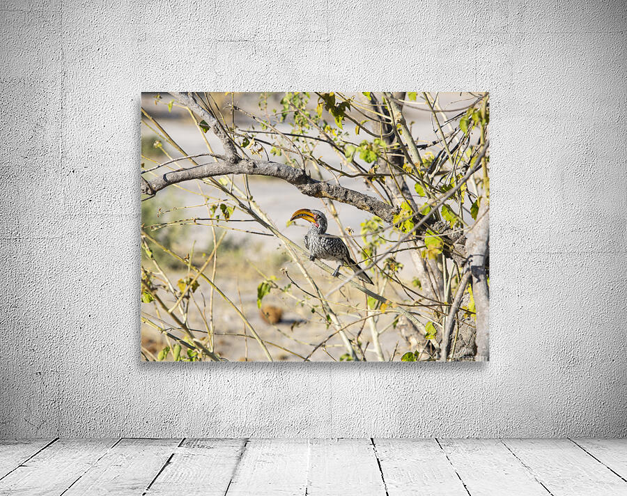 zazu Wall Preview