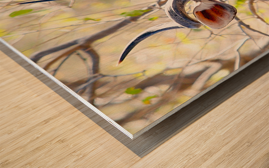 KUDU Wood print