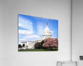 U.S. Capitol Building  Washington D.C Acrylic Print