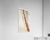 Red ivy Acrylic Print