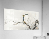 Quack on erratic branch Acrylic Print