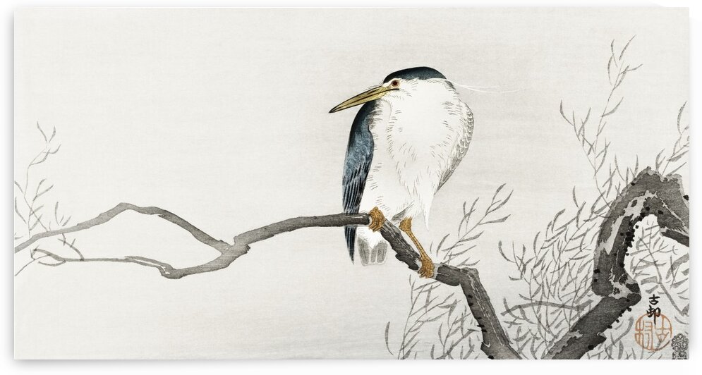 Quack on erratic branch by Tony Tudor