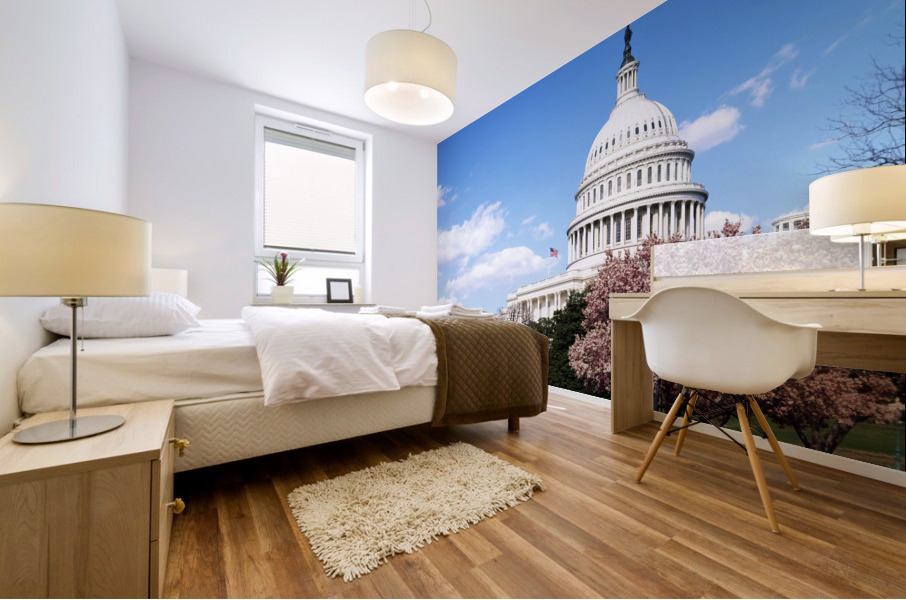 U.S. Capitol Building  Washington D.C Mural print