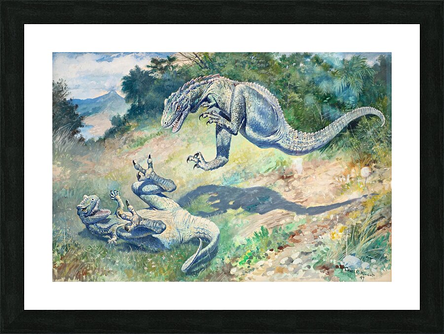 Dryptosaurus fighting Picture Frame print