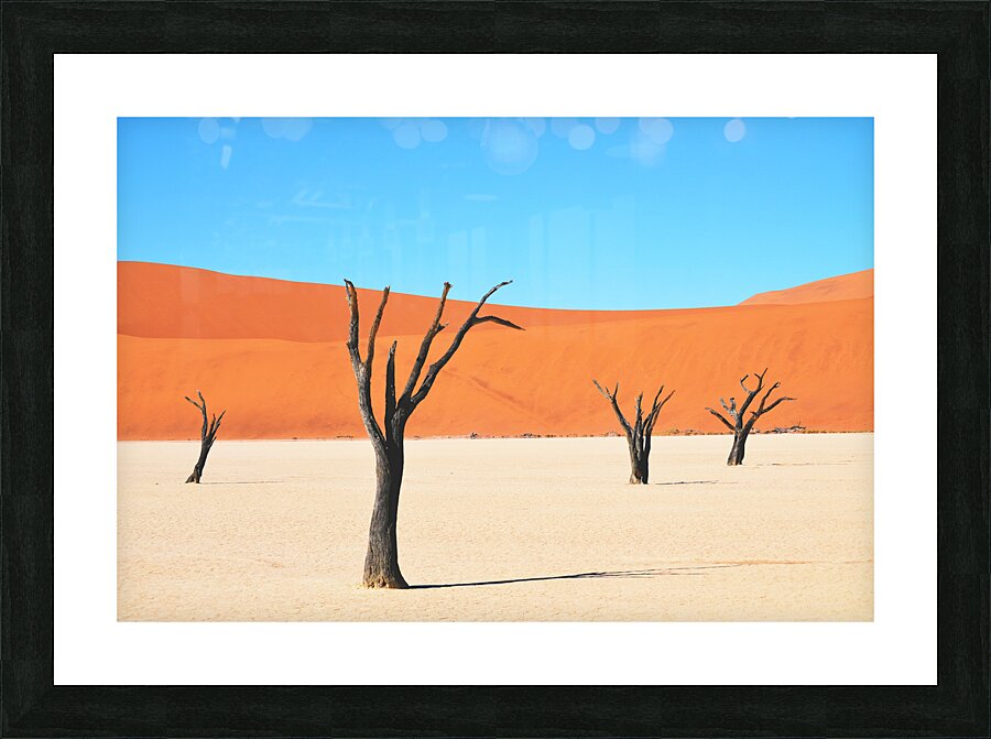 Dead tree on desert  Picture Frame print