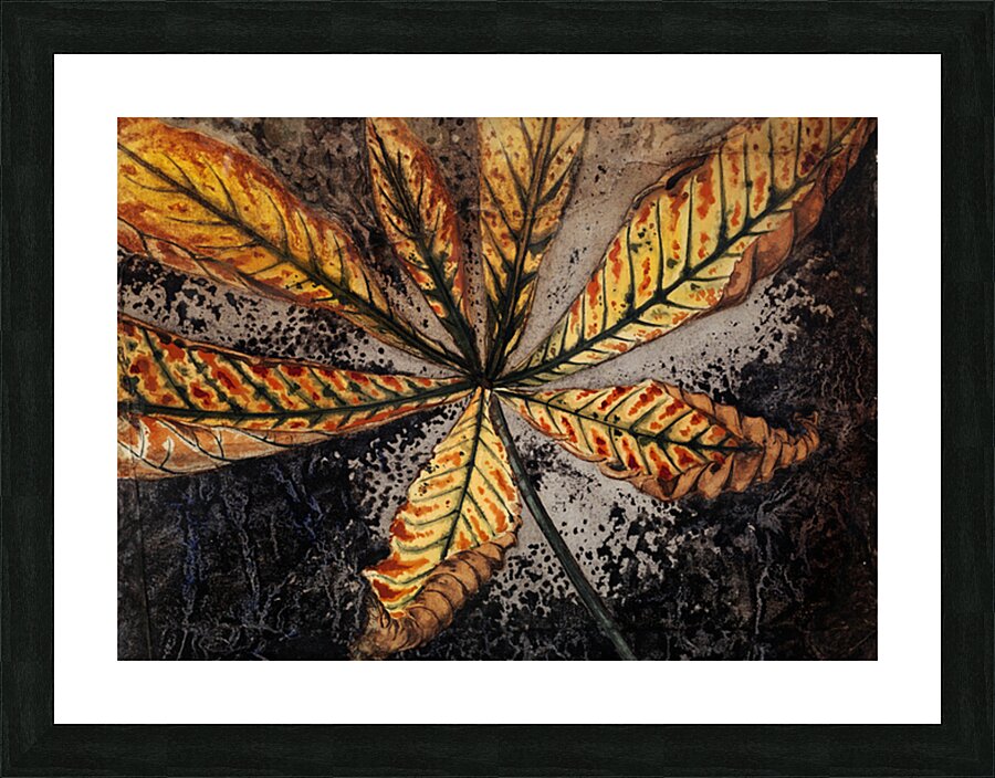 Chestnut leaf  Picture Frame print