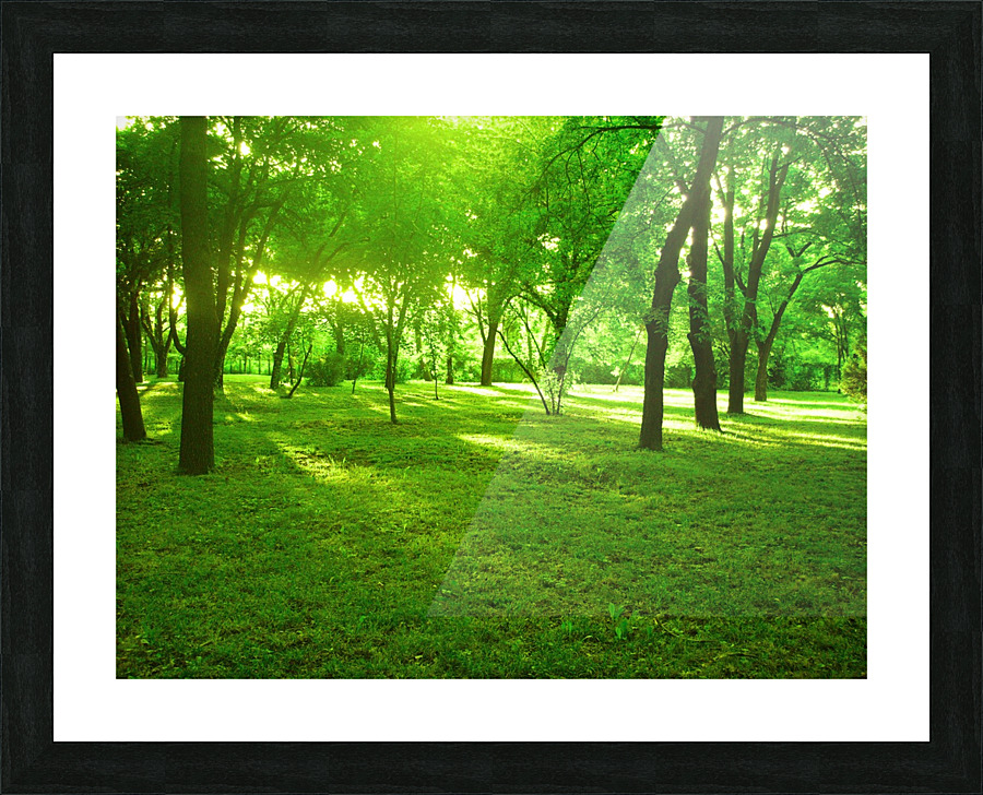 green forest Picture Frame print