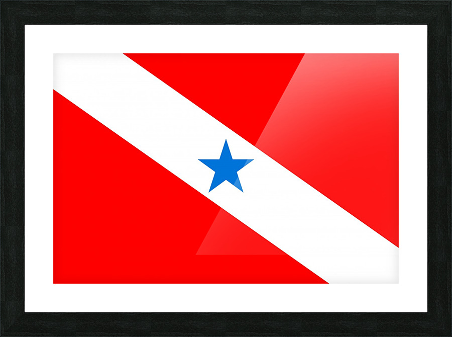 Para Brazil flag Picture Frame print