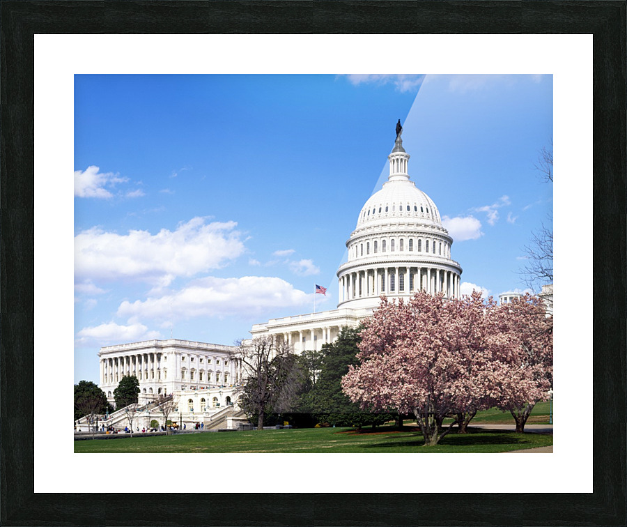 U.S. Capitol Building  Washington D.C Picture Frame print
