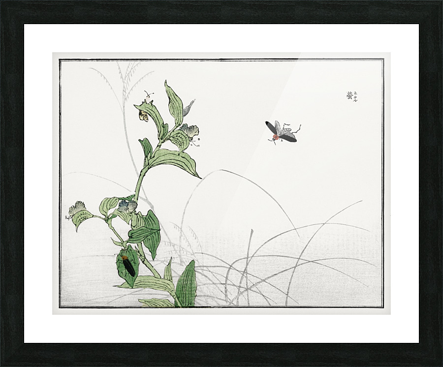 Fireflies illustration Picture Frame print