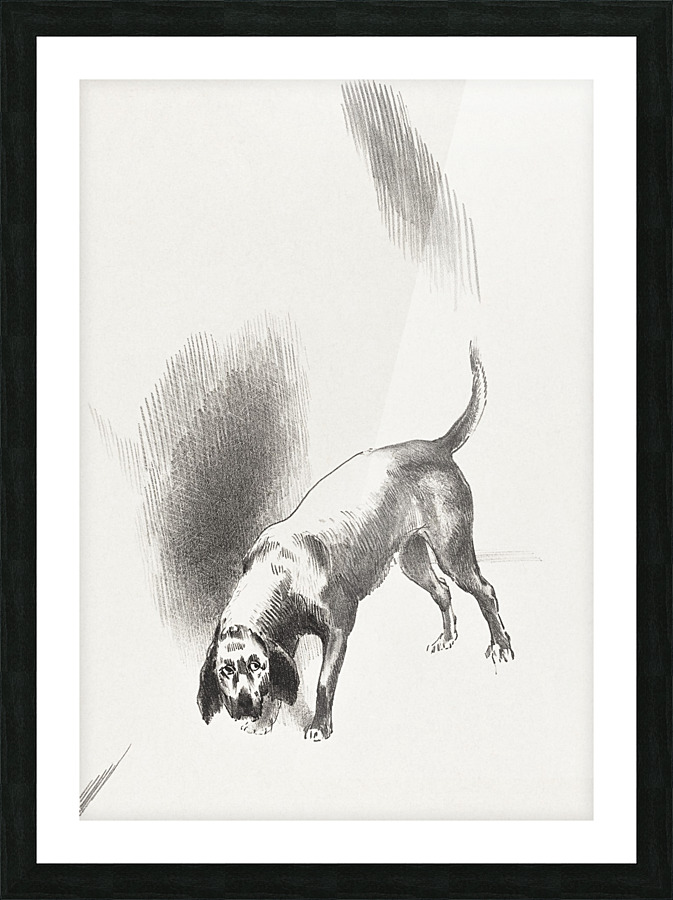The Dog Picture Frame print