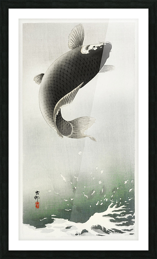 A jumping carp Picture Frame print