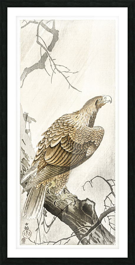 Eagle on tree branch Picture Frame print