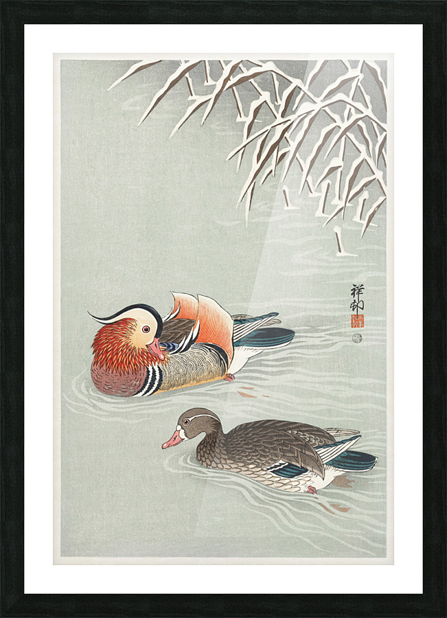 Mandarin ducks Picture Frame print