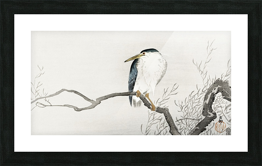 Quack on erratic branch Picture Frame print