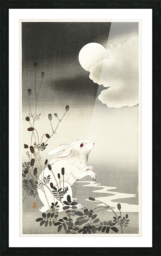 Rabbit at full moon Picture Frame print
