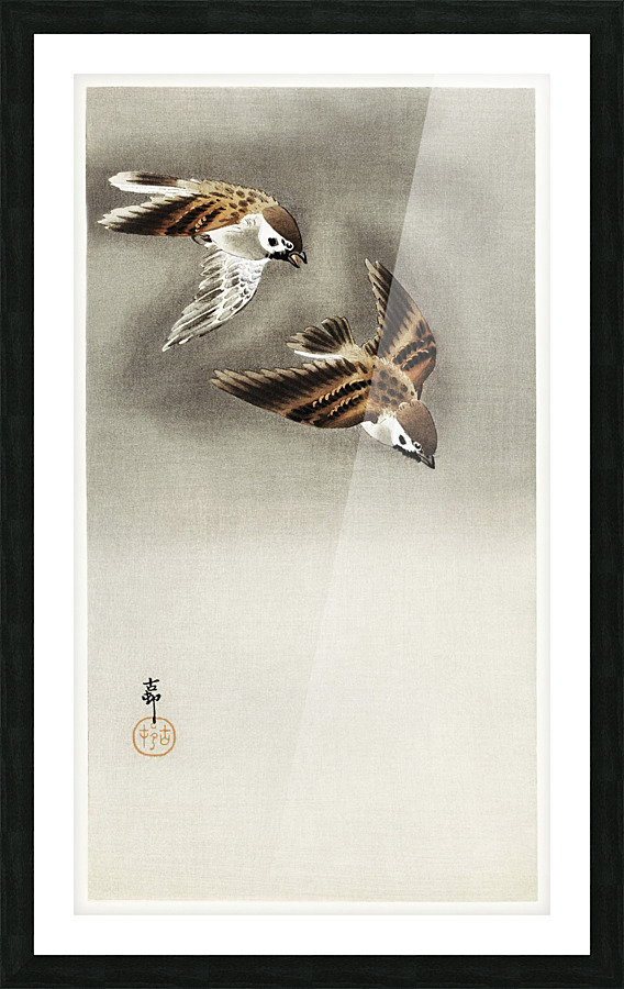 Ring sparrows in snow Picture Frame print