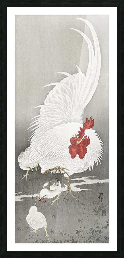 Rooster and three chicks Picture Frame print