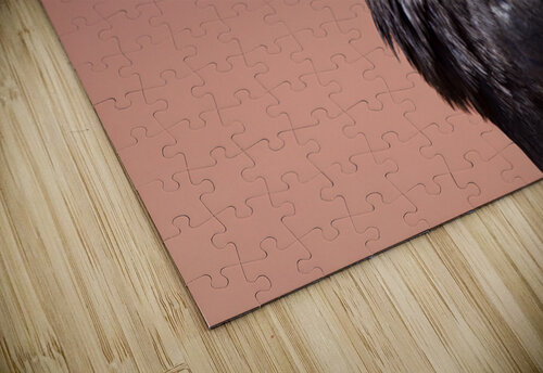 Common Raven Tony Tudor puzzle