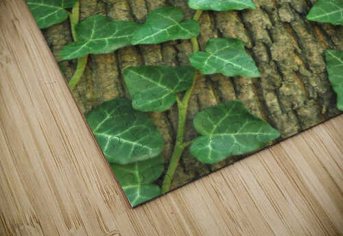 ivy on tree Tony Tudor puzzle