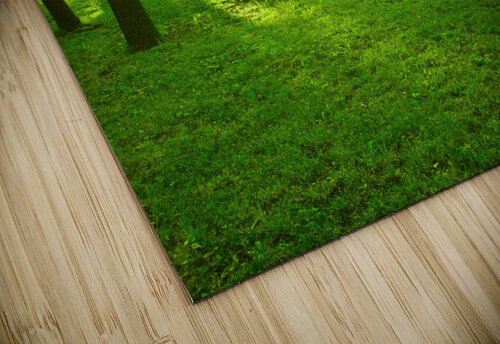 green forest Tony Tudor puzzle