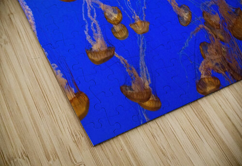 For displaying jellyfish Tony Tudor puzzle