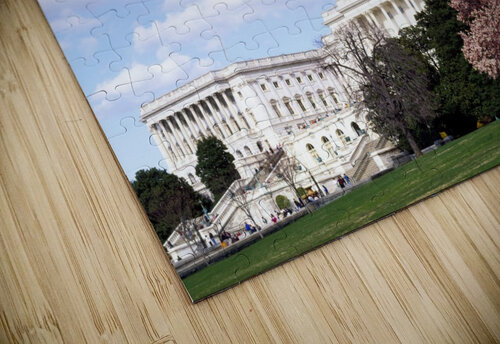 U.S. Capitol Building  Washington D.C Tony Tudor puzzle