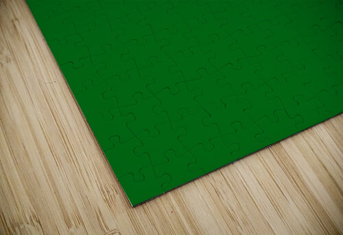 Saxony flag name Tony Tudor puzzle