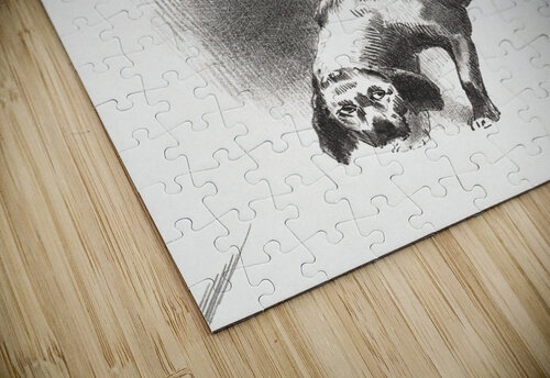 The Dog Tony Tudor puzzle