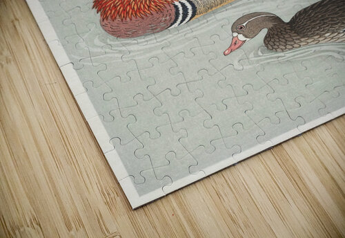Mandarin ducks Tony Tudor puzzle
