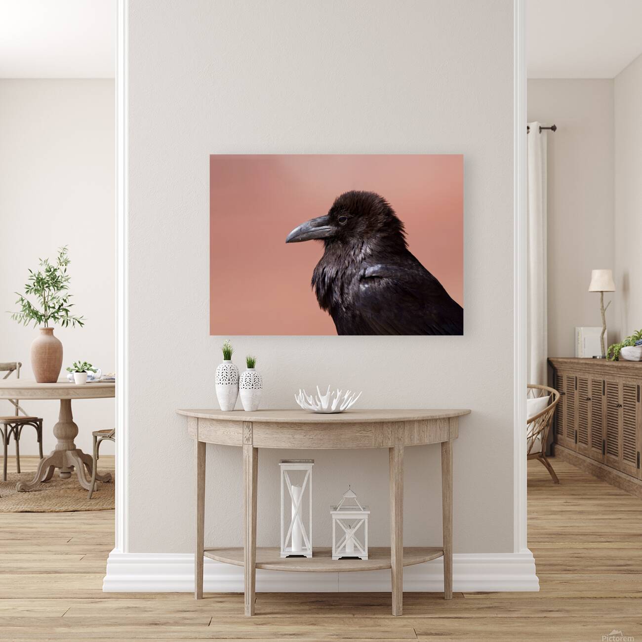 Common Raven Reproduction