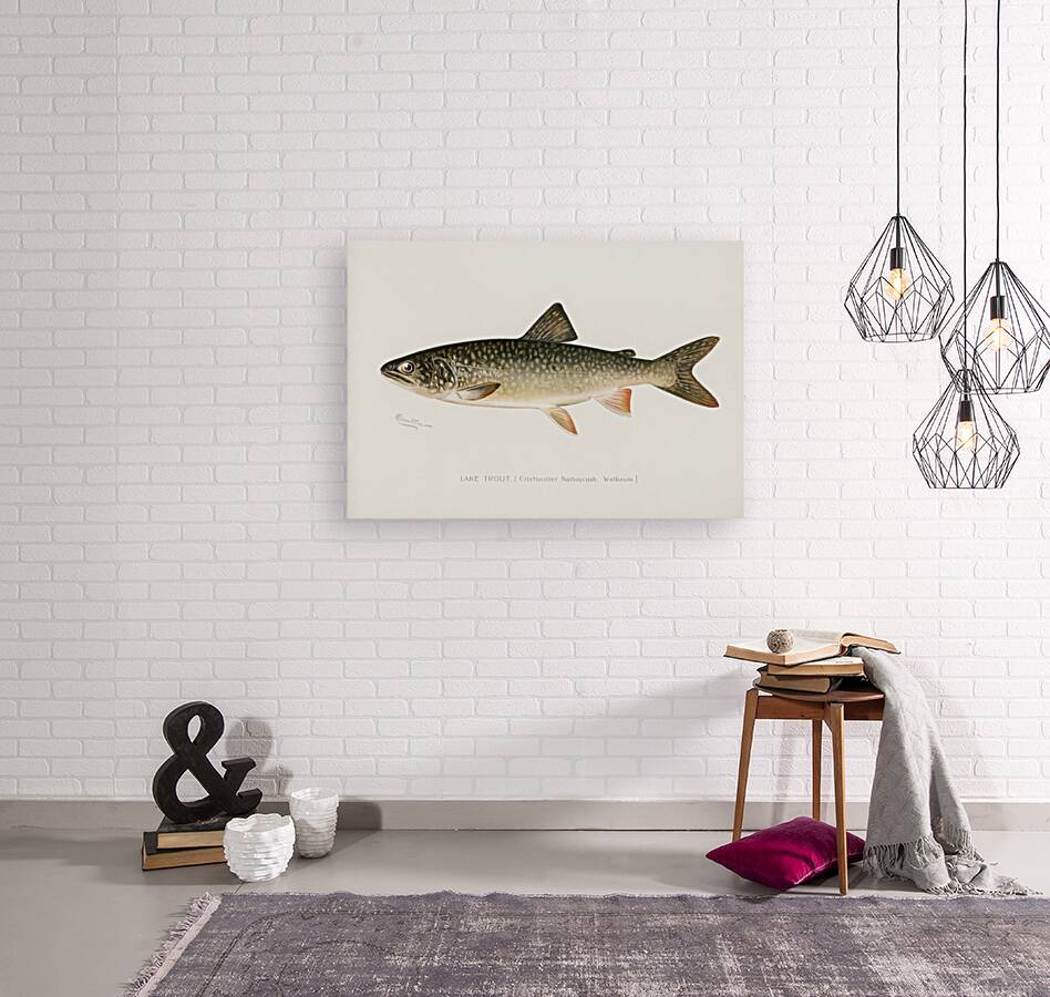 Lake Trout Reproduction