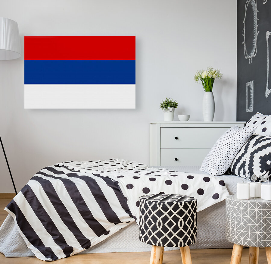 Misiones flag Argentina Reproduction