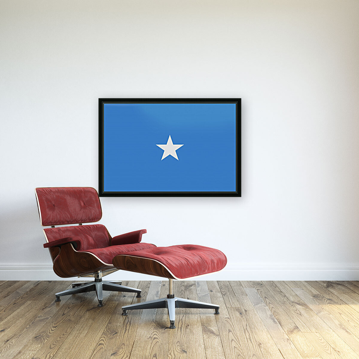 Somalia Reproduction