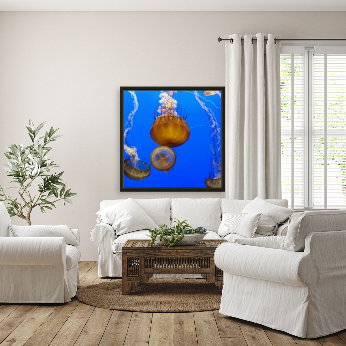 For displaying jellyfish 2 Reproduction