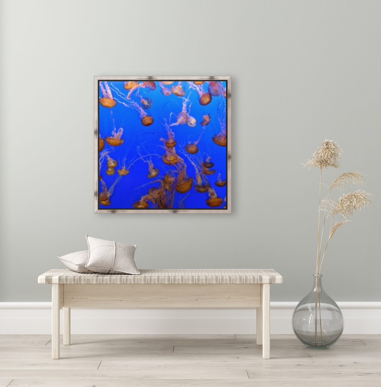 For displaying jellyfish Reproduction