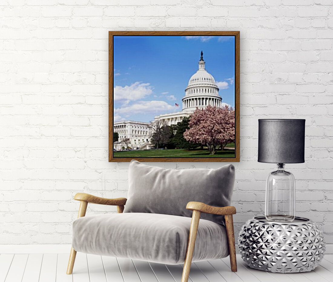U.S. Capitol Building  Washington D.C Reproduction