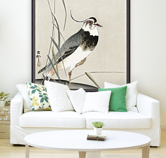Lapwing and reed Reproduction