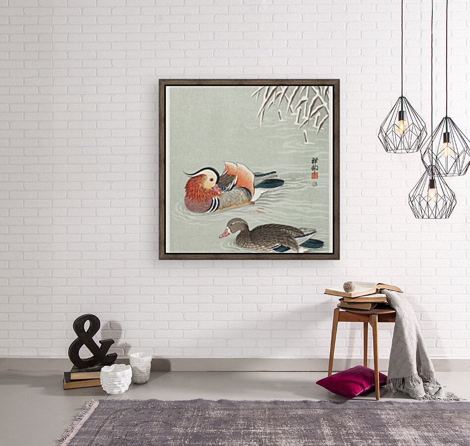 Mandarin ducks Reproduction