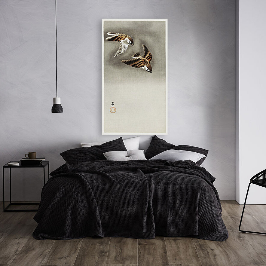 Ring sparrows in snow Reproduction