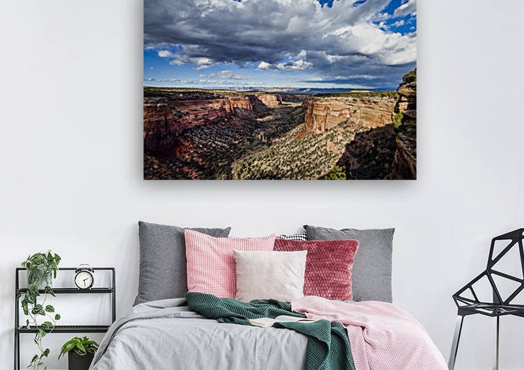 Scenery at Colorado National Monument USA by Tony Tudor