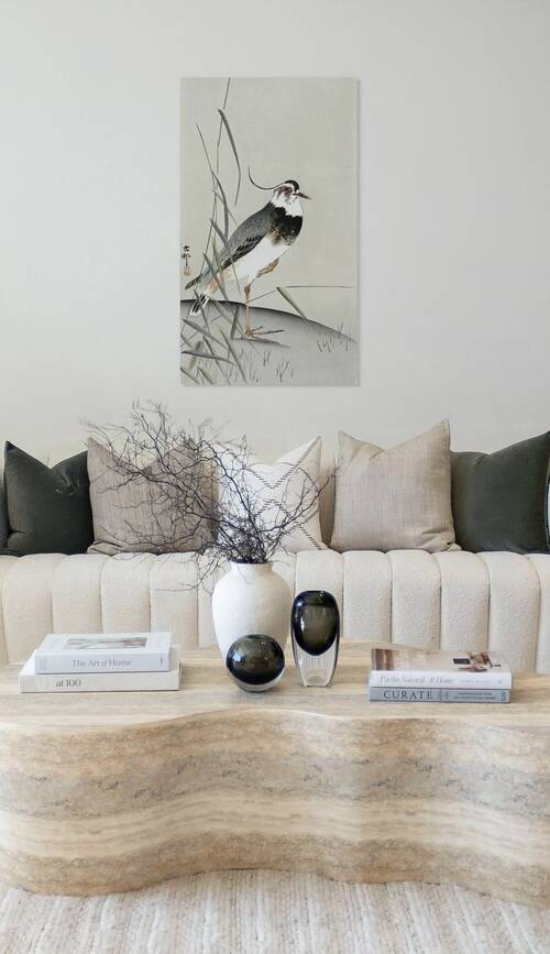 Lapwing and reed Reproduction