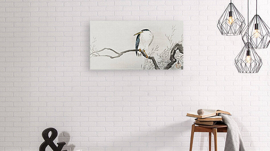 Quack on erratic branch by Tony Tudor