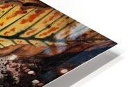 Chestnut leaf  HD Metal print
